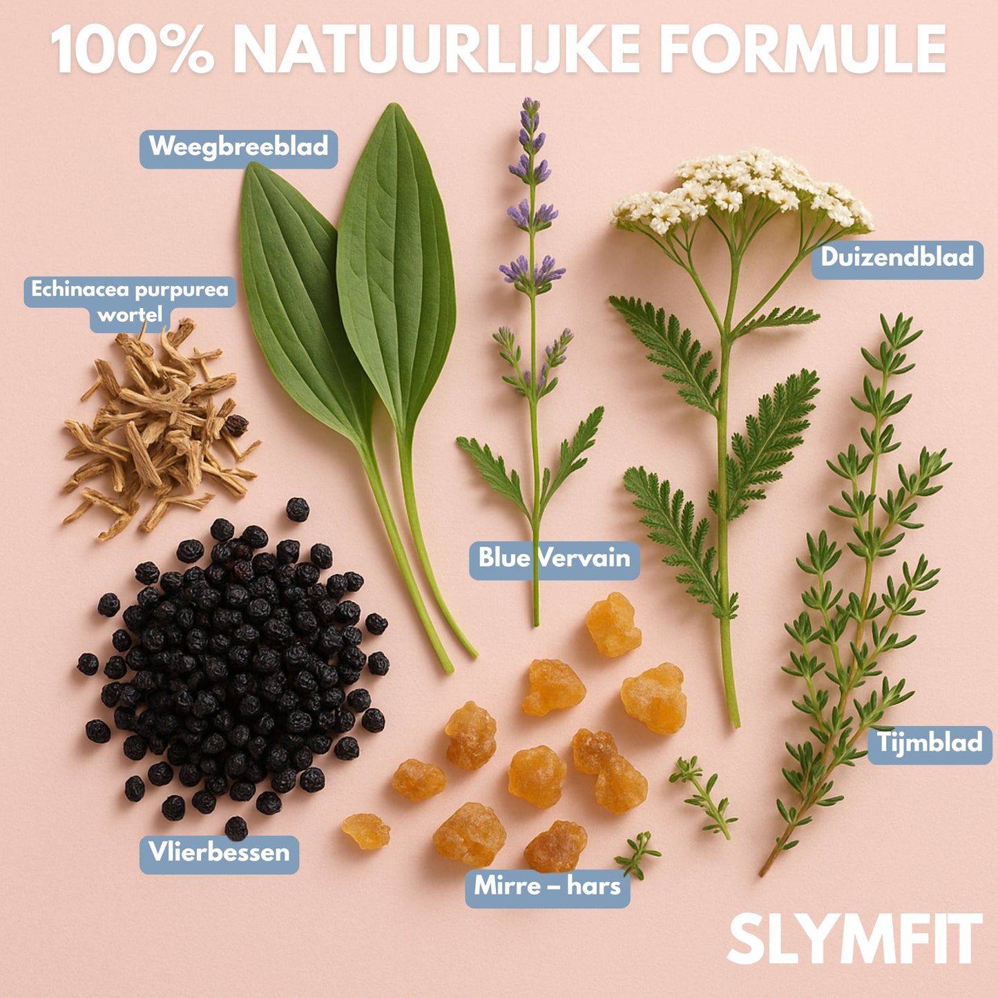 SLYMFIT | Weightloss Elixir