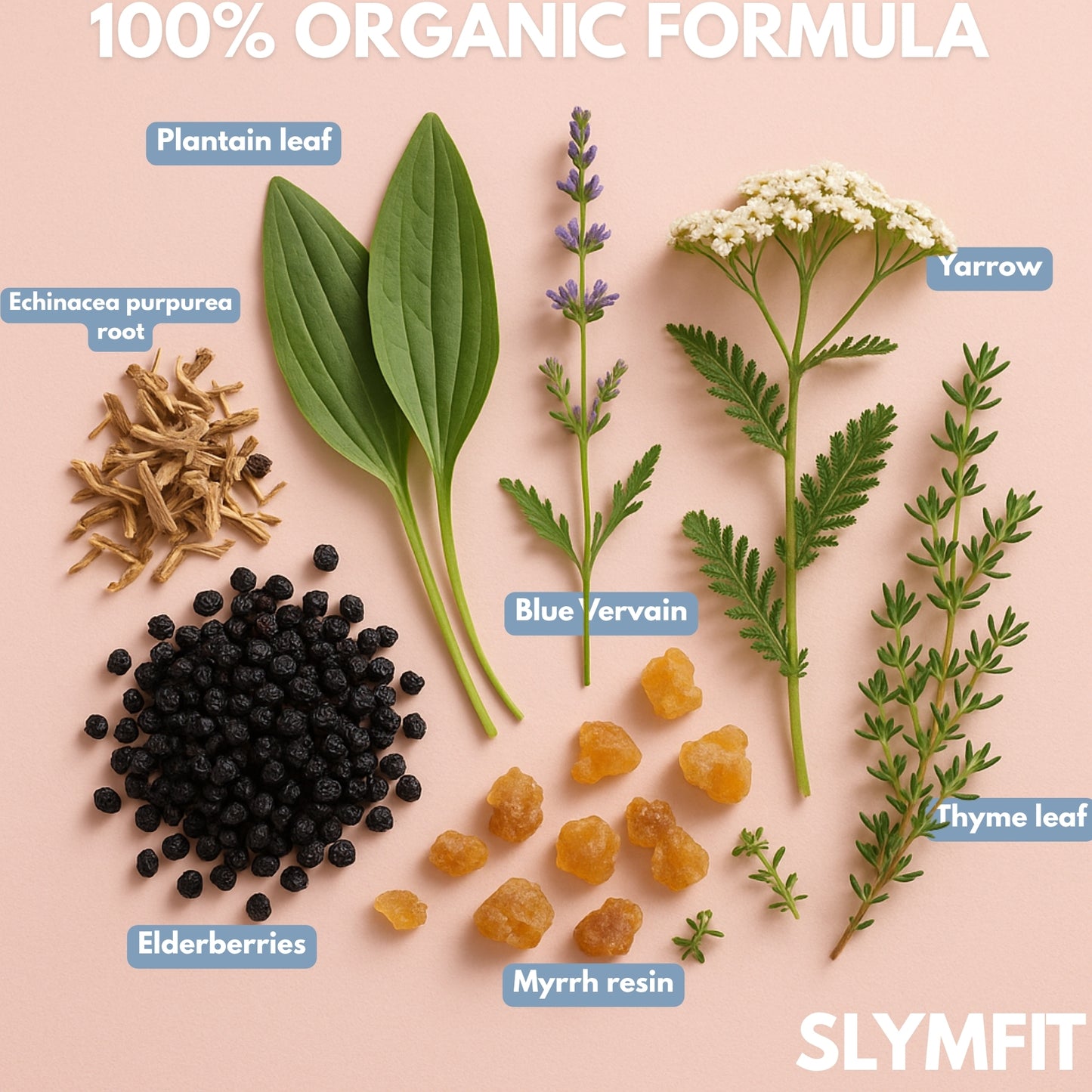 SLYMFIT | Double Chin Detox Elixir